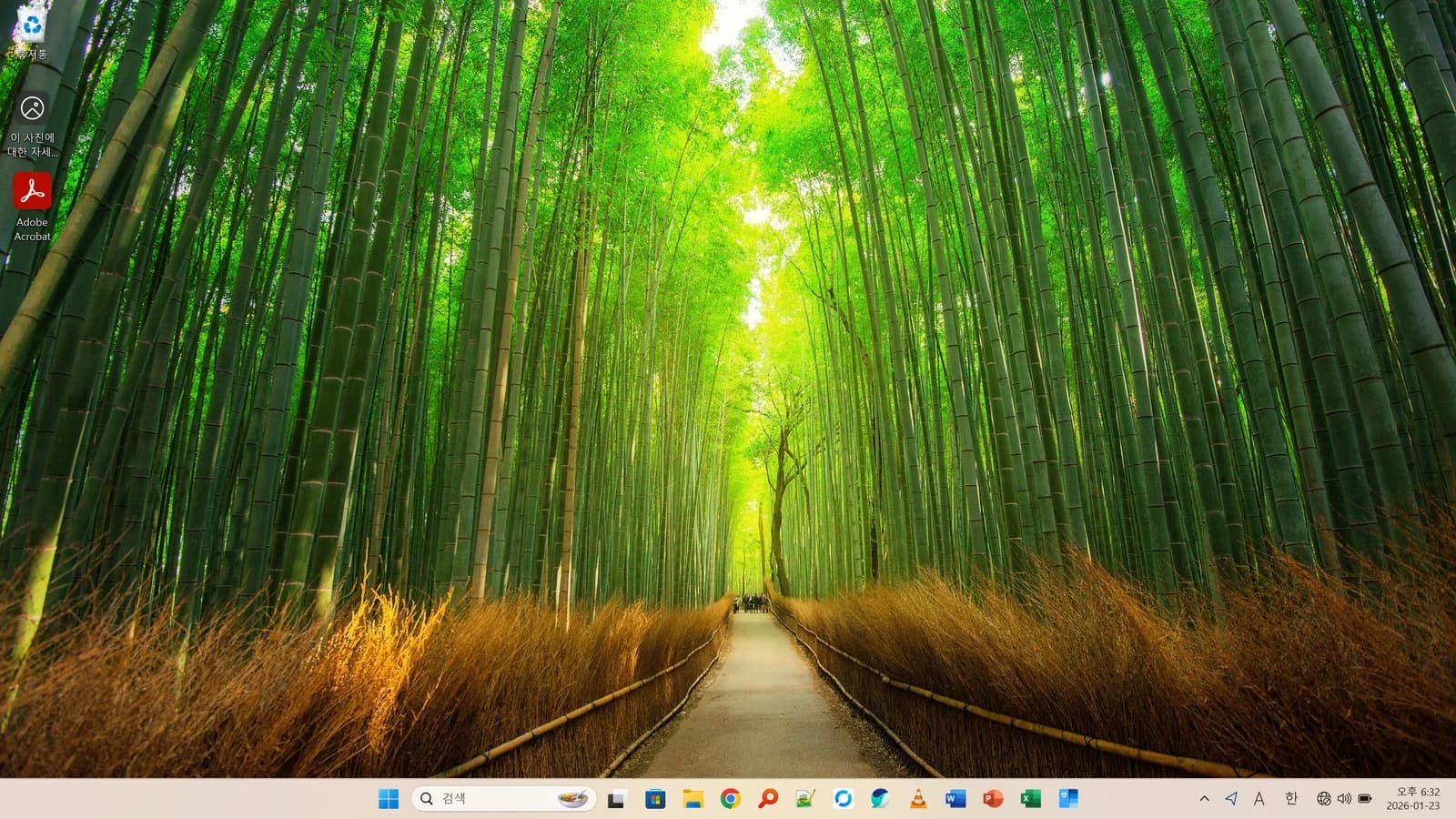 Image rendering reproduction