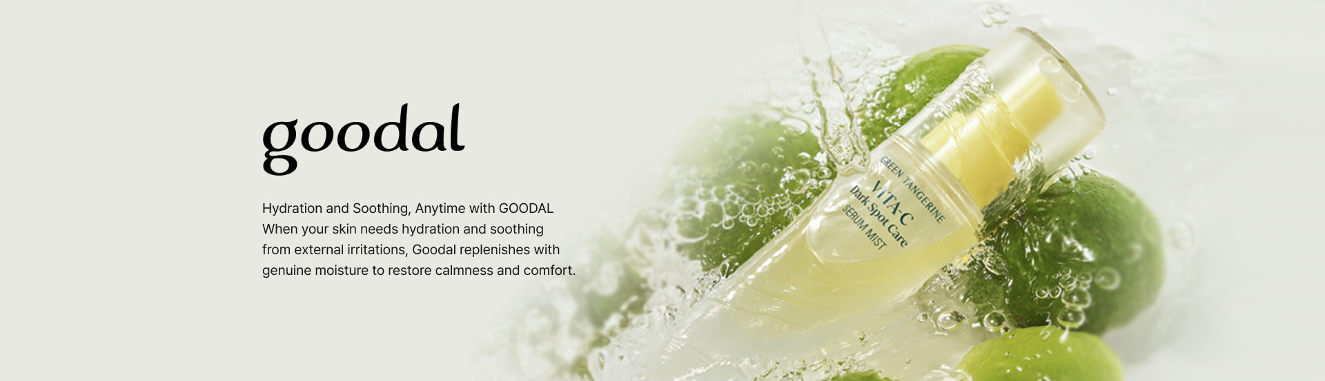 GOODAL banner