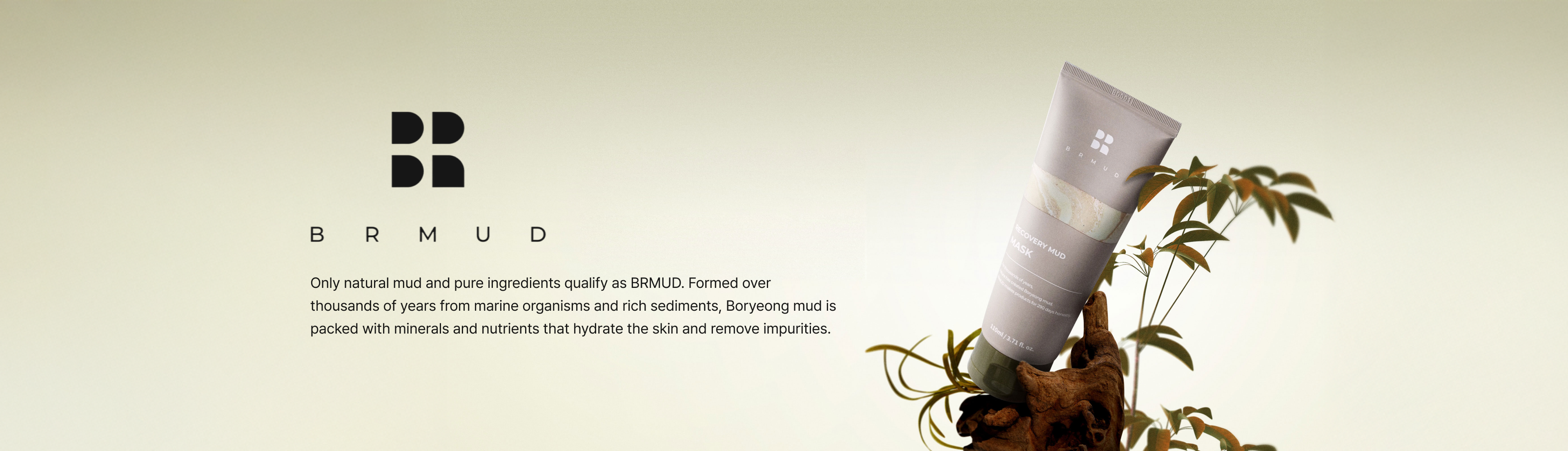 BRMUD banner